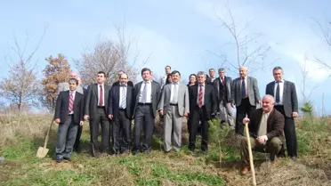 Vergi Dairesi 50 Adet Çam Ağacını Toprakla Buluşturdu
