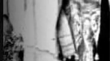 Arjantin'de Cumhuriyet Öncesi Başlayıp, Develi'de Süren Aşk Hikayesi