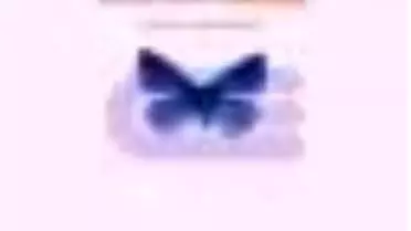 Bir Okur Olarak Kitabı