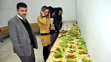 Suşehri'nde Yurtta Kalan Kız Öğrenciler Kadınlar Gününü Kutladı