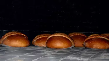 İsraf Edilemeyen Ekmek!