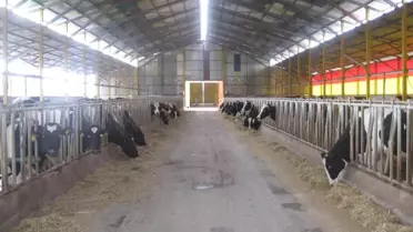 Düzce İl Tarım Müdürlüğü Şubat Ayını Yoğun Geçirdi