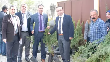 Hani Kaymakamlığı Vatandaşlara 12 Bin Adet Çam Fidanı Dağıttı