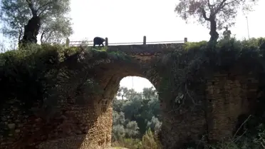 Eskihisar Köprüsü Restore Ediliyor