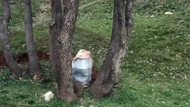 Şemdinli'de Büyük Miktarda Patlayıcı Bulundu