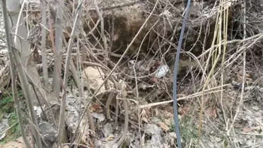 Şemdinli'de PKK Sığınağı Bulundu