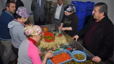 Eskipazar'a Turşu Fabrikası