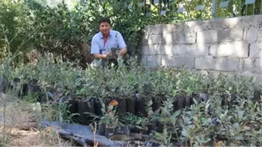 Polatlı'da 5 Bin Meşe Palamudu Toprakla Buluştu