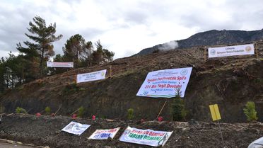 Manisalı Dev Öğrenciler, Yanan Spil Dağı'na Fidan Dikti