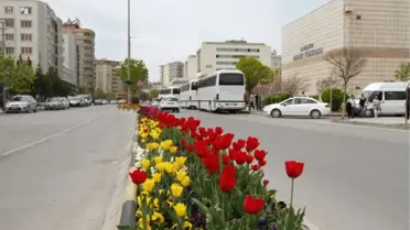 Büyükşehir'den 1. Ulusal Fotoğraf Yarışması