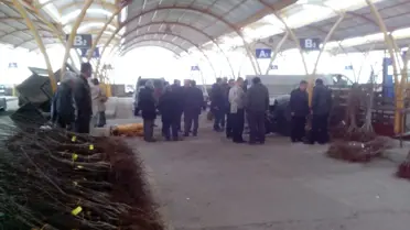 Gediz'de Çiftçilere Fidan Dağıtıldı