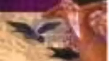 Öteki Tarih Kitabı