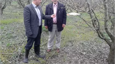 2013 Yılı 'Tahmin ve Erken Uyarı' Çalışmaları Başladı