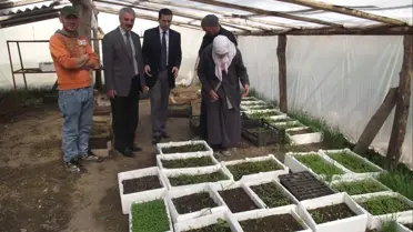 Kulu'lu Çiftçi Kültür Mantarı Üretimine Başladı