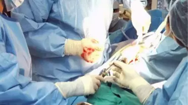 Yarı Uyumlu Nakil ile Hayata Döndüler