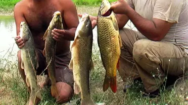 Balık Tutmak İçin Girdiği Çayda Boğuldu