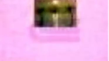 Tarih Düşüncesinin Oluşumu Kitabı