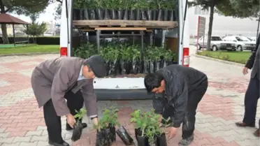 Oğuz; Isparta Gülü Topkapı Sarayını İhya Edecek