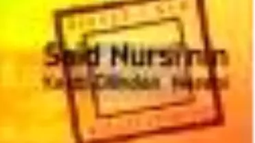 Said Nursi'nin Kendi Dilinden Nesebi Kitabı