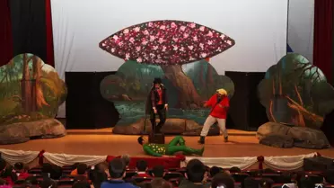 Kurbağa Prens, Adlı Oyuna Yoğun İlgi