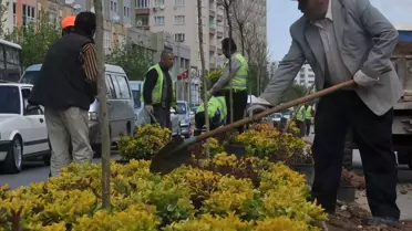 Gaziantep Çiçeklerle Güzelleşiyor
