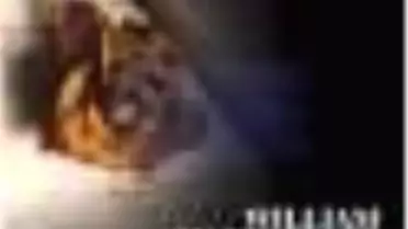 Twelfth Night (Collins Classics) Kitabı