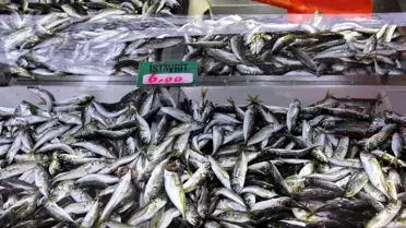 'Balık Borsası Oluşsun'