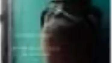 Cornucopia 01 Kitabı