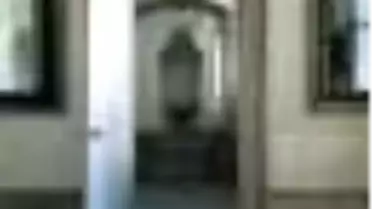 Cornucopia 22 Kitabı