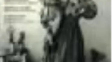 Cornucopia 28 Kitabı