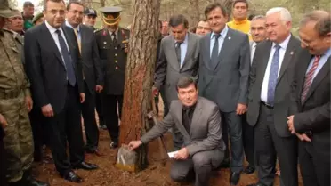 Ormanda Reçine Üretimi Başladı