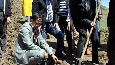 Suşehri'nde İki Bin Üzüm Fidanı Dikildi