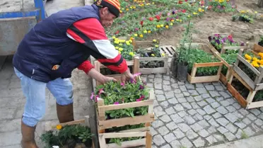 Akyazı'da Çiçekler Açtı