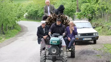 Köpek Deyip Geçmeyin