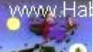 Süpürgede Yer Var Mı? Kitabı