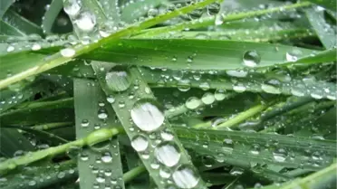 Atlas Halı Sektöründe Bir Mucizeye İmza Attı