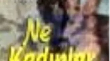 Ne Kadınlar Kitabı