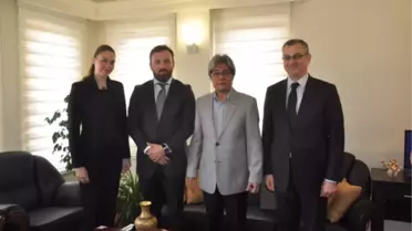 Serbest Piyasada Dağıtım Sektörü