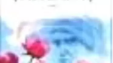 Zindanda Şahlanış Kitabı