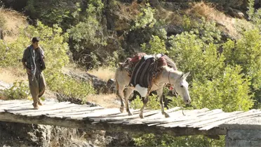 299 Euro'ya Kandil Turu