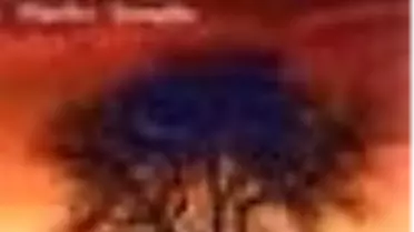 Gönül Bir İlkbahar Kitabı