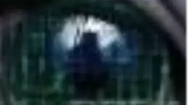 İkibinseksendört Kitabı