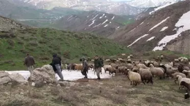 Hayvan Kaçakçılarına Hava Destekli Operasyon