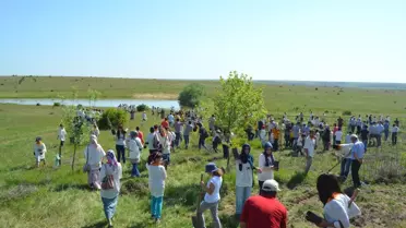 Çevre Ordusundan Musabeyli Köyüne 300 Fidan