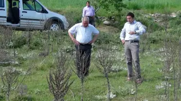 Simav'da Çekirge ile Mücadele Çalışmaları Erken Başladı