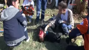 Van'da Katliam Gibi Kaza 6 Ölü