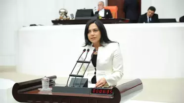 CHP'li Yüceer'den Gdo'lu Pirinç Açıklaması