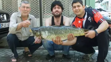 15 Kiloluk Pullu Sazan İlgi Odağı Oldu