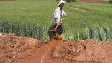 Araban Ovası'nda Buğday ve Arpa Sulamaları Başladı