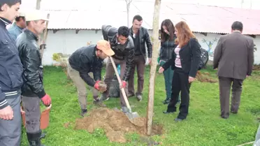 Başkale Belediyesi'nden Fidan Dikimi